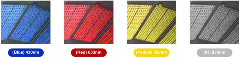 MÁY ÁNH SÁNG SINH HỌC PDT 7