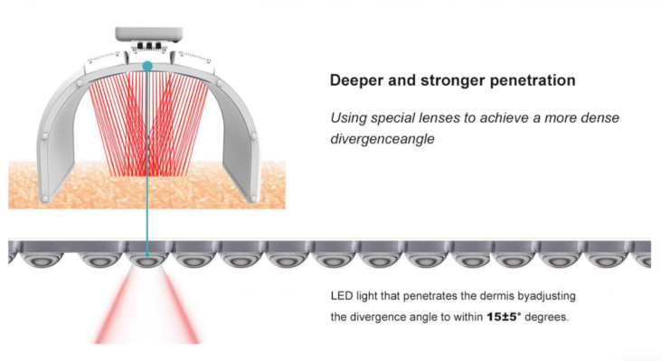 MÁY ÁNH SÁNG SINH HỌC PDT 8